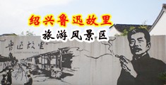 阴户视频中国绍兴-鲁迅故里旅游风景区